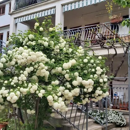 And By The Sea - 19183 Guest house Rovinj